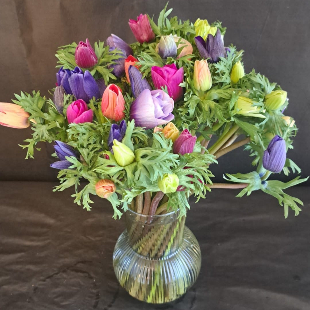 Frische Anemone