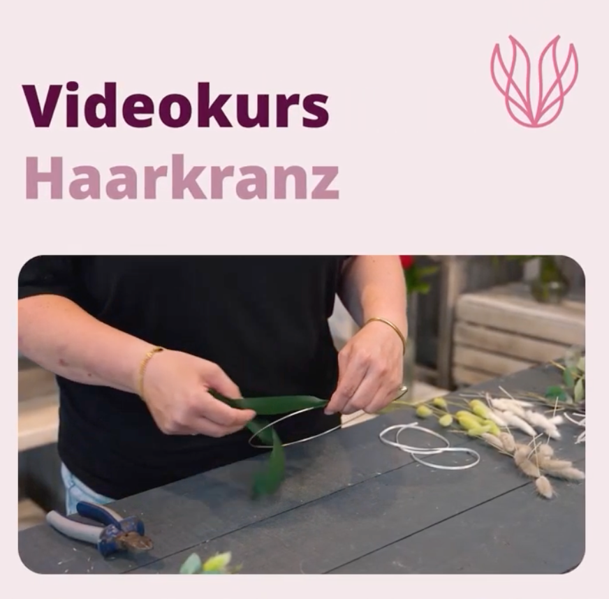 Videokurs "Haarkranz"